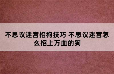 不思议迷宫招狗技巧 不思议迷宫怎么招上万血的狗